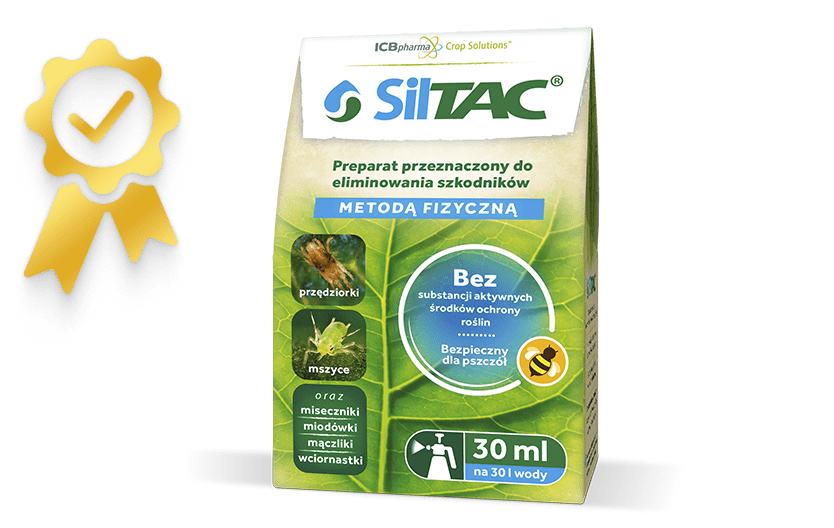 Siltac-1_new Siltac